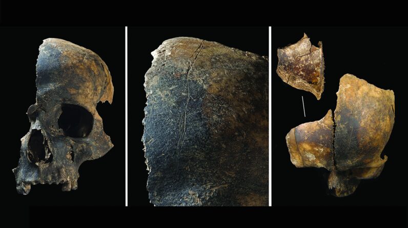 4,000-year-old bones reveal ‘unprecedented’ violence — tongue removal, cannibalism and evisceration in Bronze Age Britain