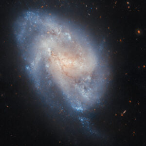 Hubble Captures Stunning Image of NGC 337