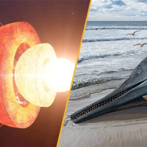 ‘Spiders on Mars’ and ancient sea monsters: 5 of the biggest science stories you read in 2024