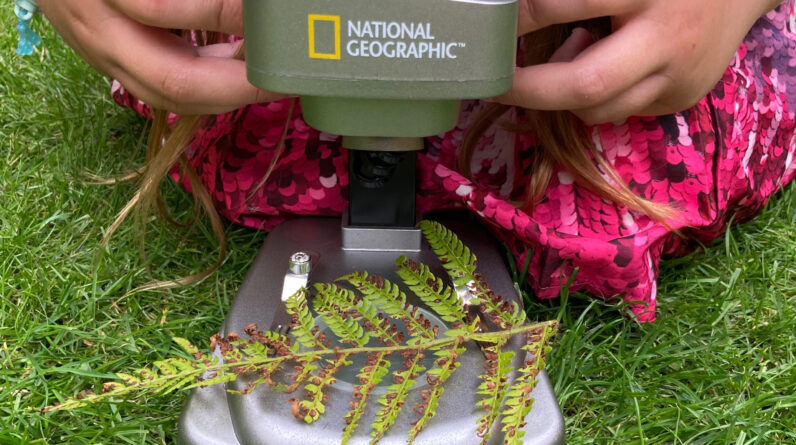 National Geographic Ultimate Dual Stereo Microscope review