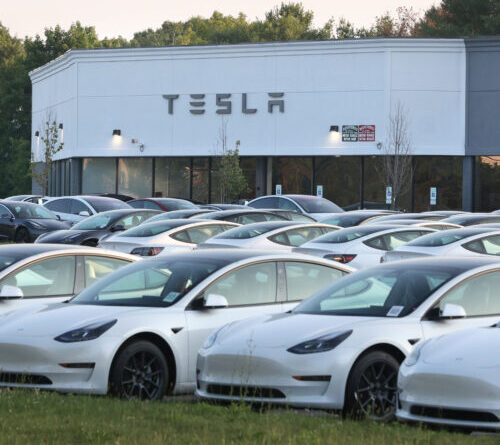 Tesla sales fell for the first time in over a decade