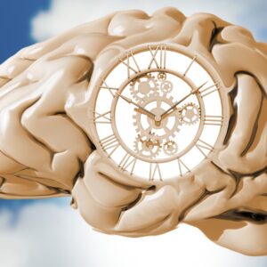 Why time slows down in altered states of consciousness