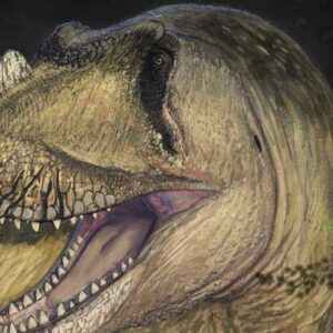 Paleontologists Describe New Species of Predatory Dinosaur