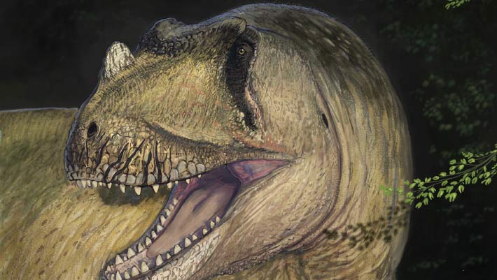 Paleontologists Describe New Species of Predatory Dinosaur