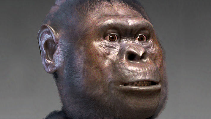 Australopithecus Didn’t Regularly Eat Meat, New Study Shows