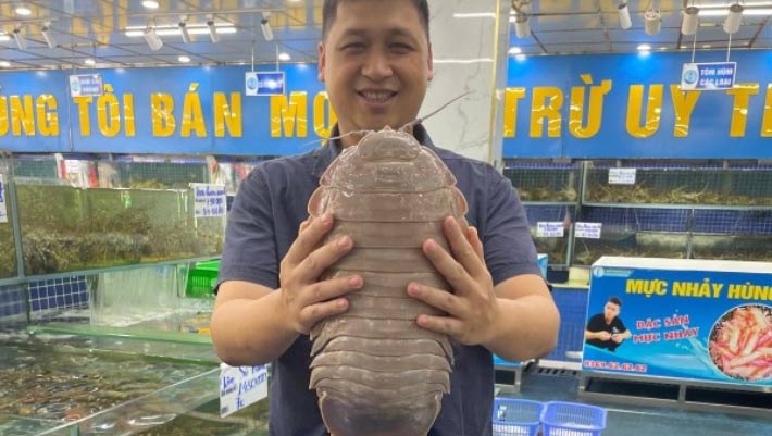 New Species of Giant Isopod Discovered in South China Sea