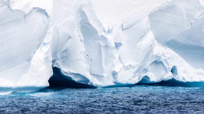 ‘Queen of icebergs’ A23a is barreling toward a remote South Atlantic island. Millions of animals could be at risk