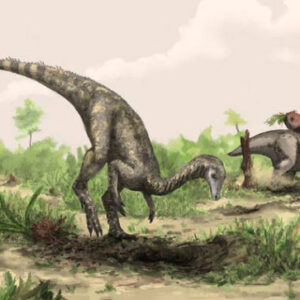 Dinosaurs Likely Originated in Low-Latitude Region of Supercontinent Gondwana