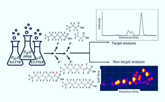 Rare Aerobic Bacterium Found to Break Down ‘Forever Chemicals’