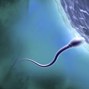 Sperm cells carry traces of childhood stress, epigenetic study finds