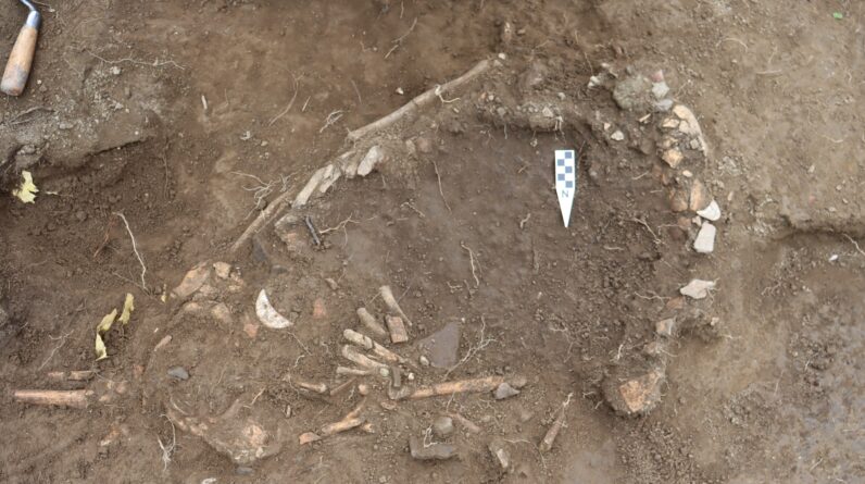 1,200-year-old remains of dismembered pregnant woman in Ecuador hint at ‘enigmatic’ sacrifice to thwart El Niño