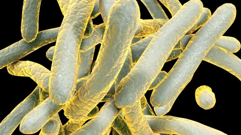 Massive tuberculosis outbreak sickens dozens in Kansas