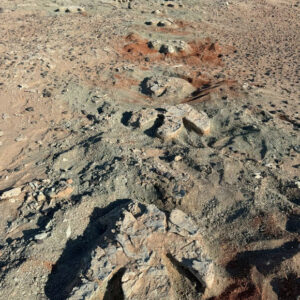 Paleontologists Discover Footprints of Large Hadrosaurid Dinosaurs in Gobi Desert