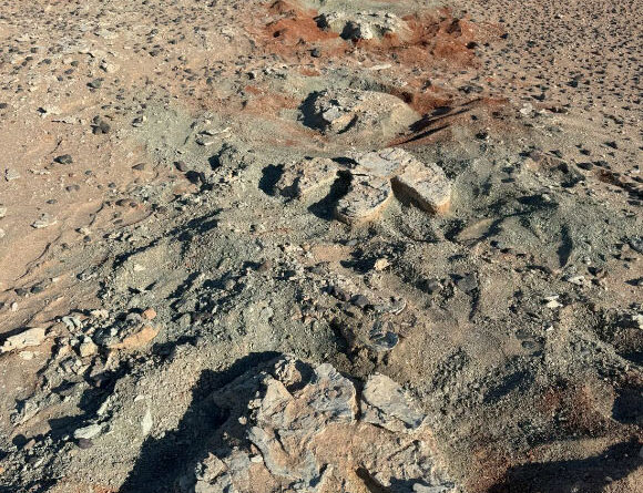 Paleontologists Discover Footprints of Large Hadrosaurid Dinosaurs in Gobi Desert