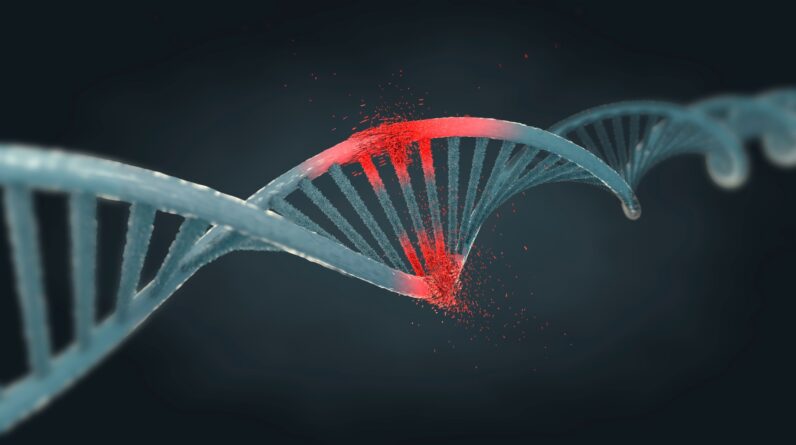 People with this rare genetic condition can’t repair damage to their DNA