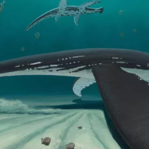 Some Plesiosaurs Had Smooth Skin on Their Body and Scales on Their Flippers