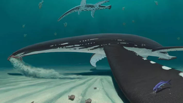 Some Plesiosaurs Had Smooth Skin on Their Body and Scales on Their Flippers