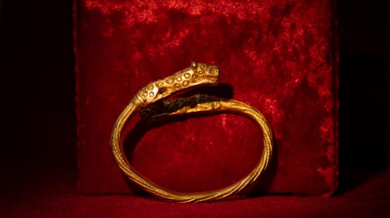 Gold jewelry with leopard and tiger designs unearthed in 2,400-year-old burial in Kazakhstan