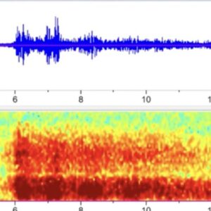 From 900 miles away, the US government recorded audio of the Titan sub implosion