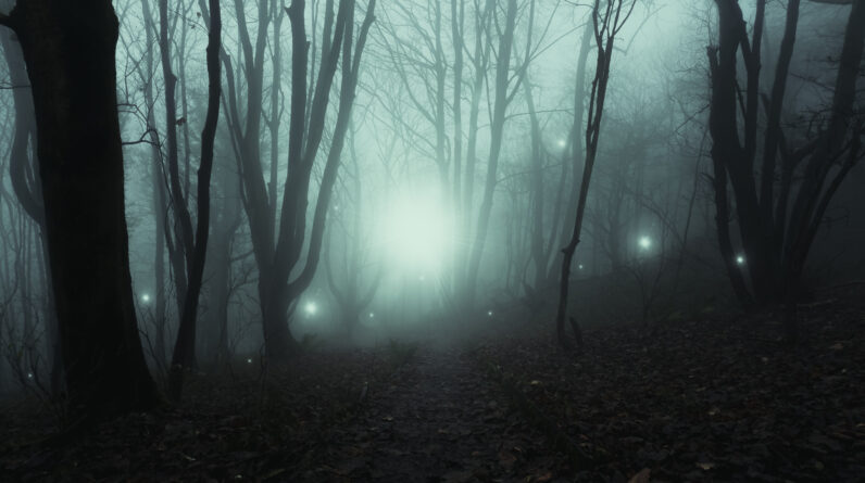 Creepy ‘ghost lanterns’ in South Carolina are not what they seem, study suggests