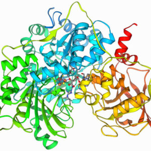 AI used to design a multi-step enzyme that can digest some plastics