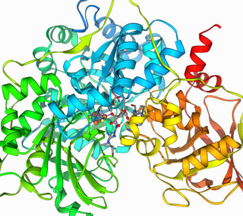 AI used to design a multi-step enzyme that can digest some plastics