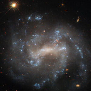 Hubble Captures Sparkling Spiral Galaxy Face-On: UGC 5460