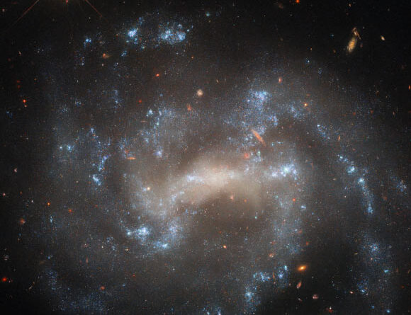 Hubble Captures Sparkling Spiral Galaxy Face-On: UGC 5460