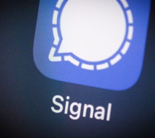 X is reportedly blocking links to secure Signal contact pages