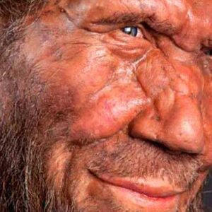 New Study Suggests That There Was Late Bottleneck Event in Neanderthal Evolution