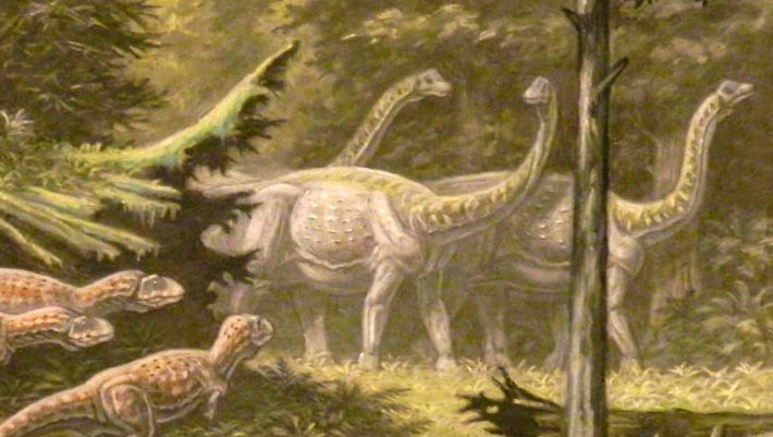 Large-Bodied Sauropod Dinosaur Lived on Cretaceous European Island