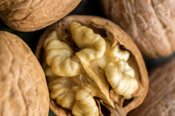 Study: Walnut-Rich Breakfast Enhances Cognitive Performance throughout the Day