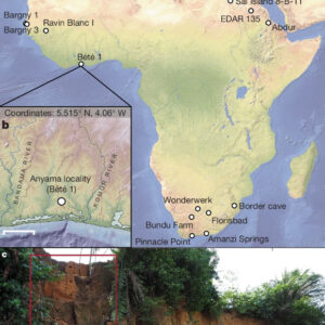 Homo sapiens Were Living in African Wet Tropical Forests as Early as 150,000 Years Ago