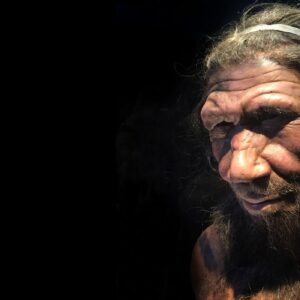 Neanderthal ‘population bottleneck’ around 110,000 years ago may have contributed to their extinction