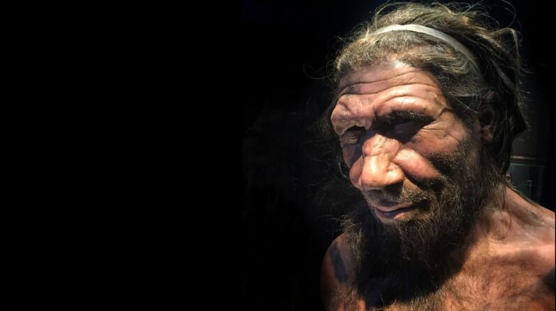 Neanderthal ‘population bottleneck’ around 110,000 years ago may have contributed to their extinction