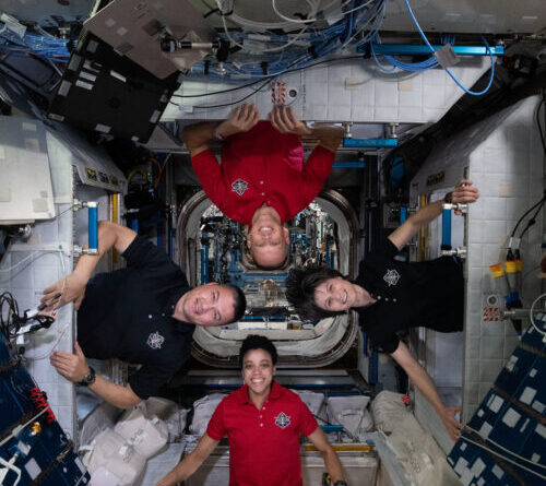 An small microbial ecosystem has formed on the International Space Station