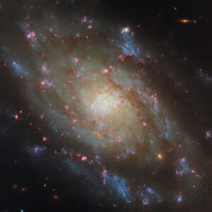 Hubble Space Telescope Looks at NGC 5042