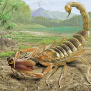 125 million-year-old fossil of giant venomous scorpion that lived alongside dinosaurs discovered in China