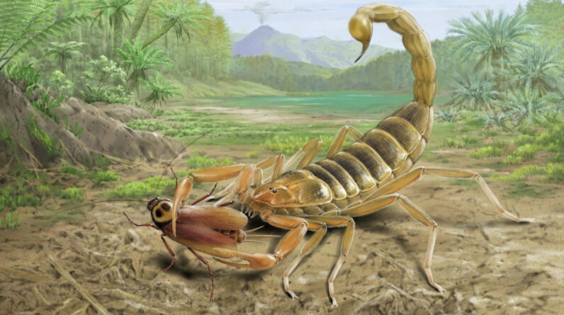 125 million-year-old fossil of giant venomous scorpion that lived alongside dinosaurs discovered in China