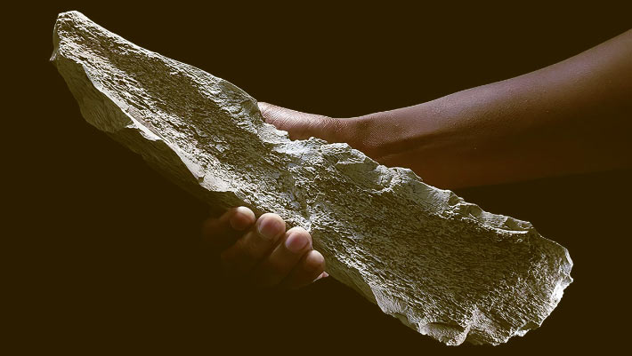 1.5-Million-Year-Old Bone Tool ‘Factory’ Discovered in Tanzania