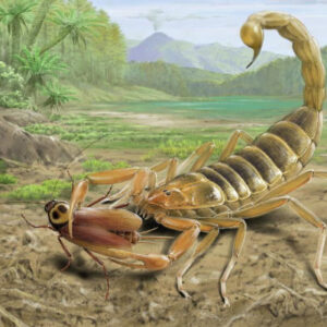 125-Million-Year-Old Scorpion Fossil Uncovered in China