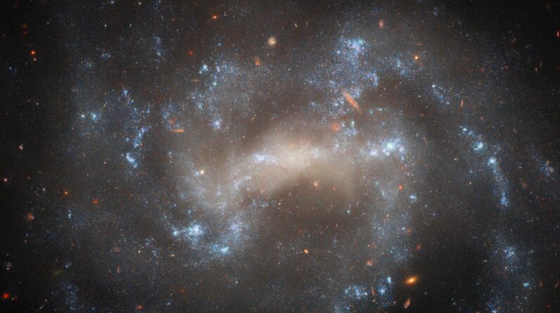 Space photo of the week: Hubble hunts a stellar ‘imposter’ hiding in the Great Bear