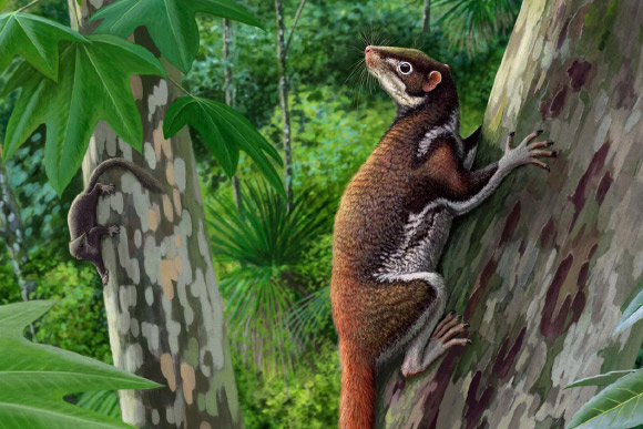 Mixodectes pungens: Enigmatic Mammal from Early Paleocene was Claw-Climbing Arborealist