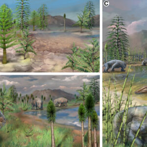 New Fossils Reveal Diverse Terrestrial Ecosystem 75,000 Years after End-Permian Mass Extinction