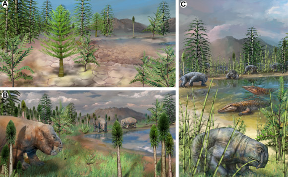 New Fossils Reveal Diverse Terrestrial Ecosystem 75,000 Years after End-Permian Mass Extinction