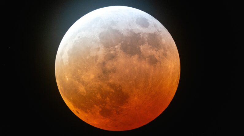 ‘Blood moon’ total lunar eclipse: Stunning photos of our celestial neighbor turning red over the Americas