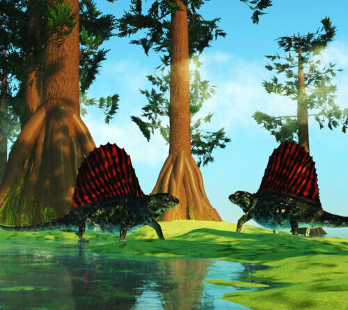 Even the worst mass extinction had its oases