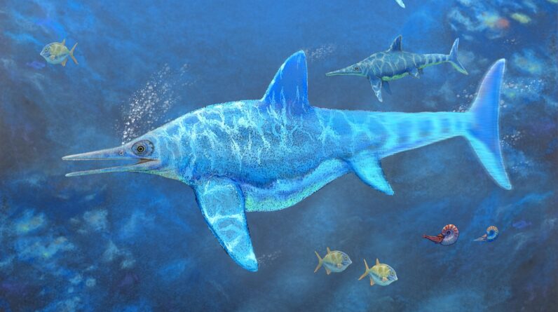 ‘Twins! She has another baby’: Sea monster from Chile had 2 buns in the oven, rare fossil reveals