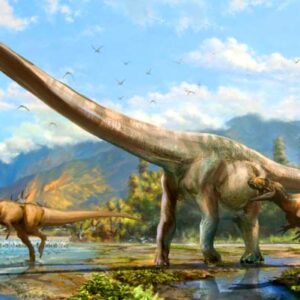 New Species of Jurassic Herbivorous Dinosaur Discovered in China