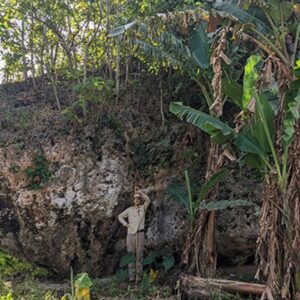 There’s a humongous boulder on a cliff in Tonga. Now we know how it got there.